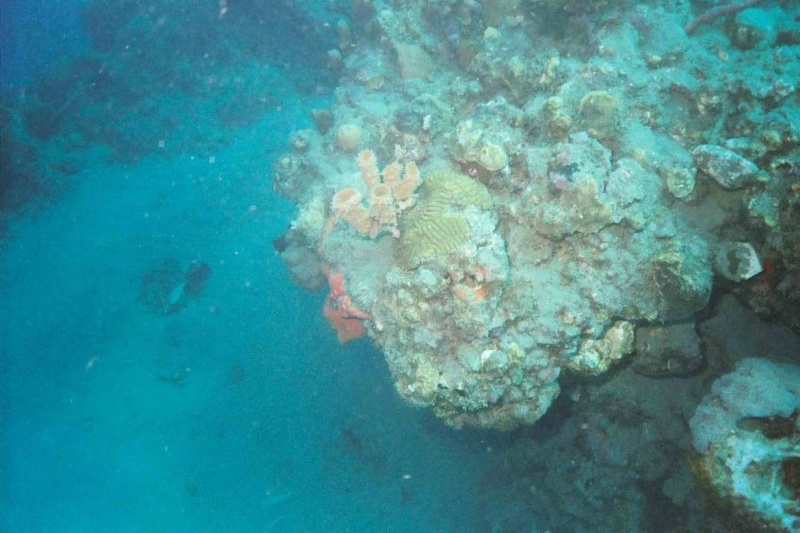 2003 martinique 028