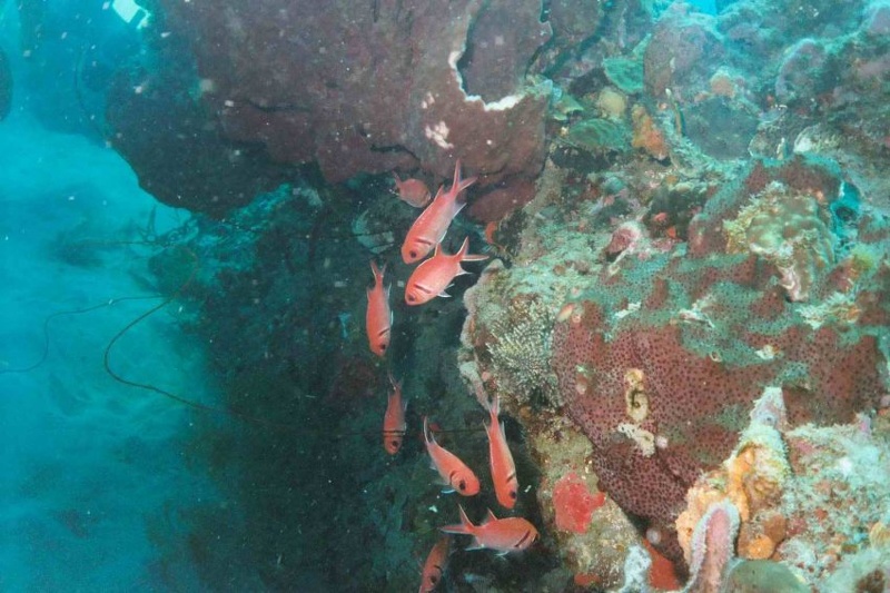 2003 martinique 029