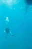 2003 martinique 030