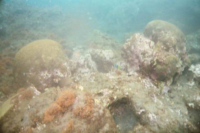 2003 martinique 033