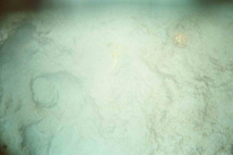 2003 martinique 034