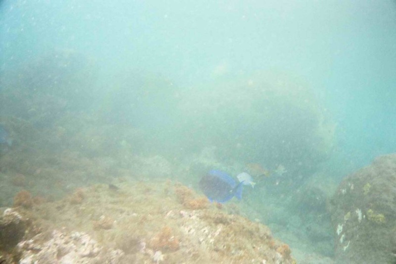 2003 martinique 035
