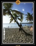 2005 martinique 013