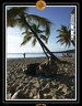 2005 martinique 018