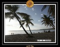 2005 martinique 022