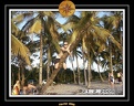 2005 martinique 024