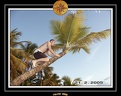 2005 martinique 025