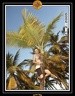 2005 martinique 026