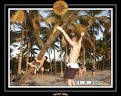 2005 martinique 027