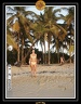 2005 martinique 028