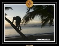 2005 martinique 040