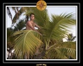 2005 martinique 041