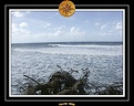 2005 martinique 049