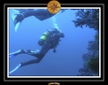2005 corse 006