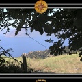 2005 corse 021
