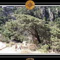 2005 corse 052