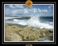 2006 Guadeloupe K 020