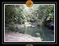 2006 Guadeloupe K 048