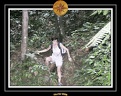 2006 Guadeloupe 009