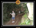 2006 Guadeloupe 010