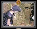 2006 Guadeloupe 013