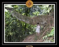 2006 Guadeloupe 014