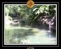 2006 Guadeloupe 021