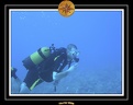2006 Guadeloupe 053