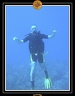 2006 Guadeloupe 054
