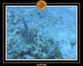 2006 Guadeloupe 055