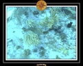 2006 Guadeloupe 060