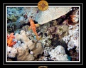 2007 Egypte 004