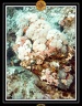 2007 Egypte 005