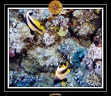 2007 Egypte 007