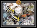 2007 Egypte 009