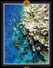 2007 Egypte 010