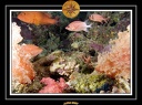 2007 Egypte 014