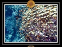 2007 Egypte 018