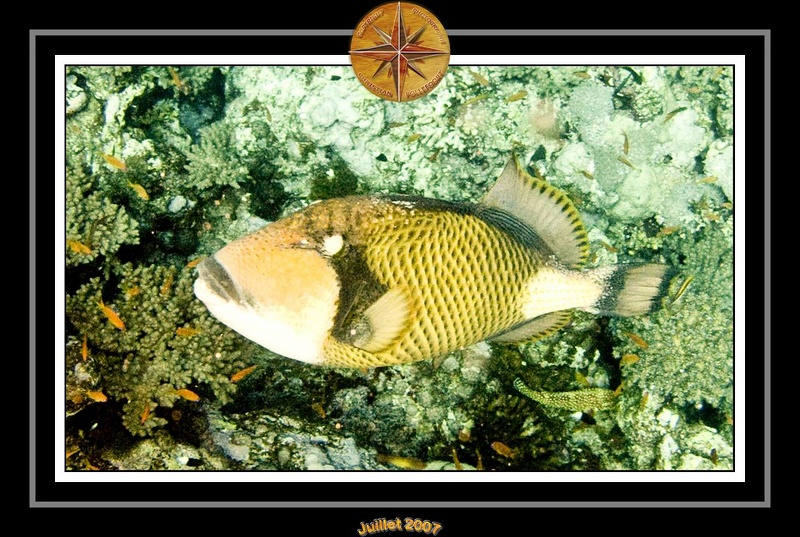 2007 Egypte 023