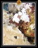 2007 Egypte 025