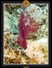 2007 Egypte 026