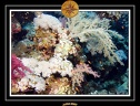 2007 Egypte 029