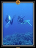 2007 Egypte 032