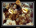 2007 Egypte 035