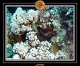 2007 Egypte 040