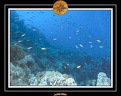 2007 Egypte 044