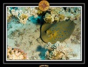 2007 Egypte 045