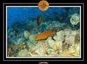 2007 Egypte 046
