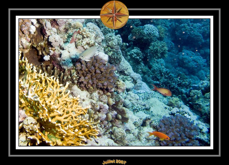 2007 Egypte 050