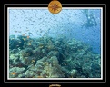 2007 Egypte 051